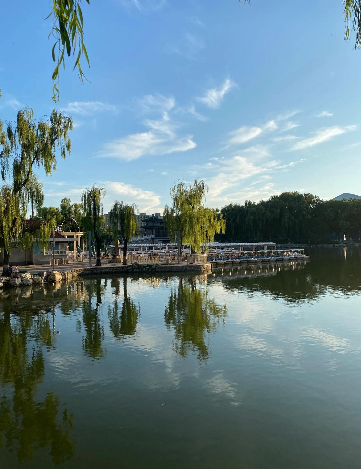 城南公园旅行图片 1