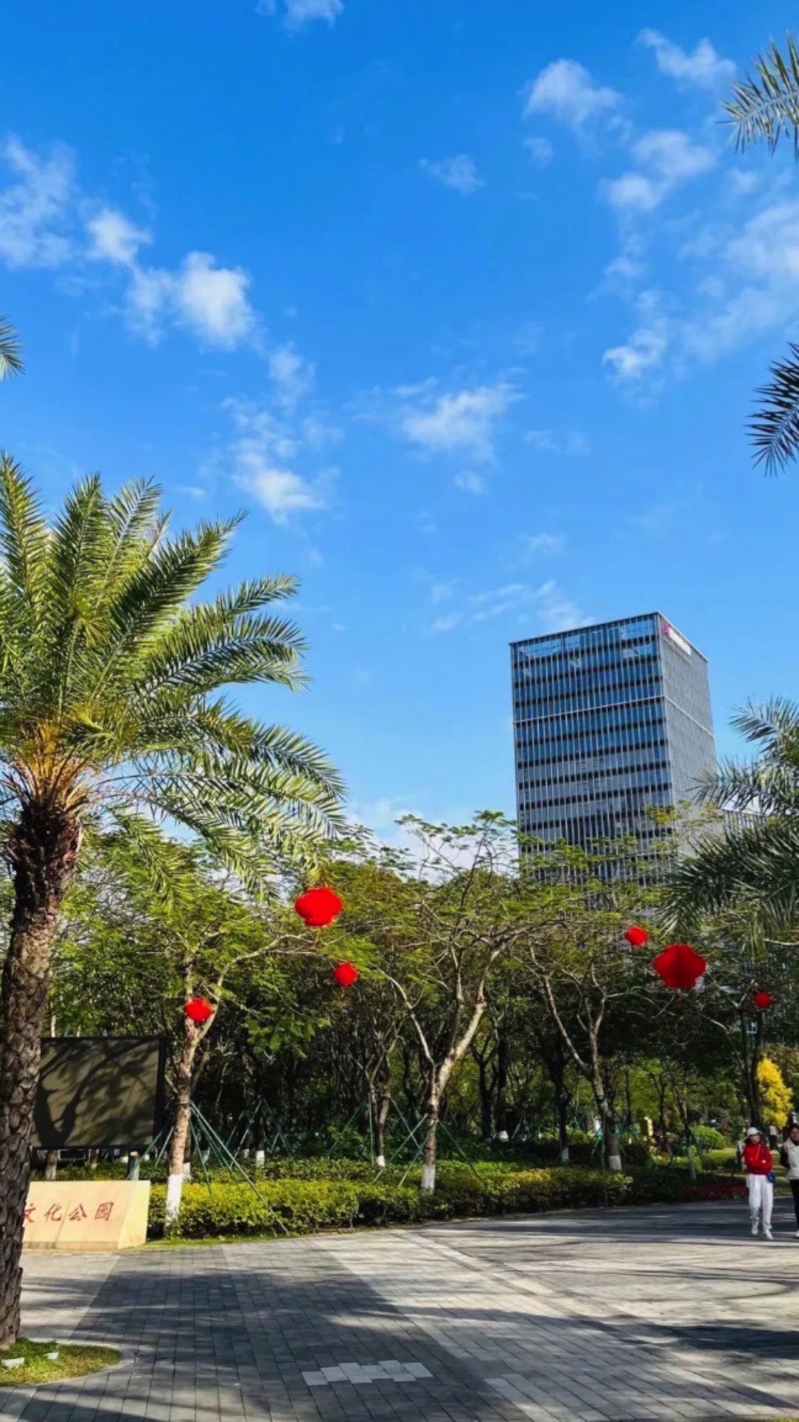 金山体育公园旅行图片 3