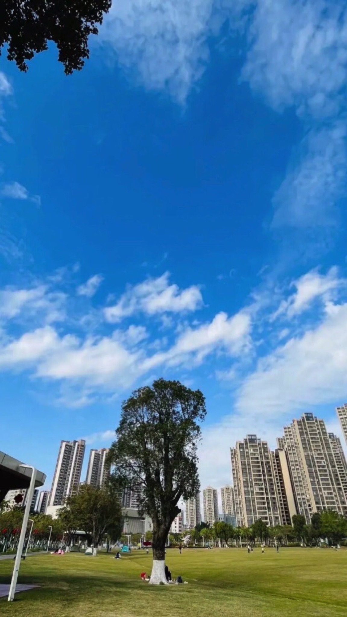 金山体育公园旅行图片 1