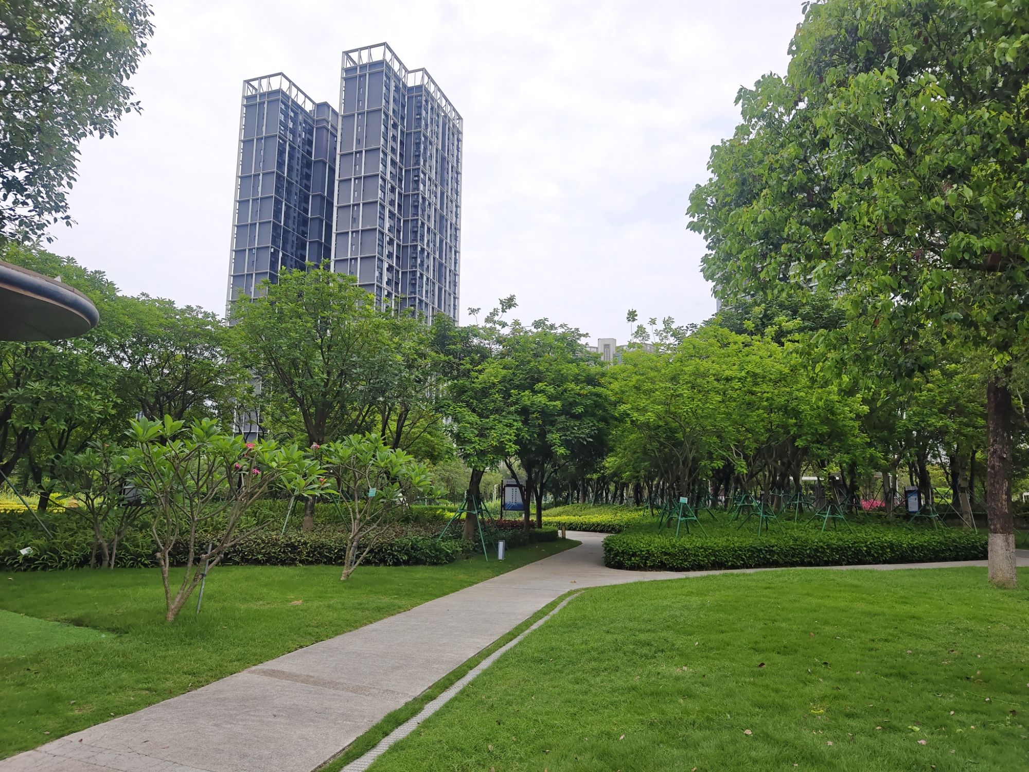 金山体育公园旅行图片 2