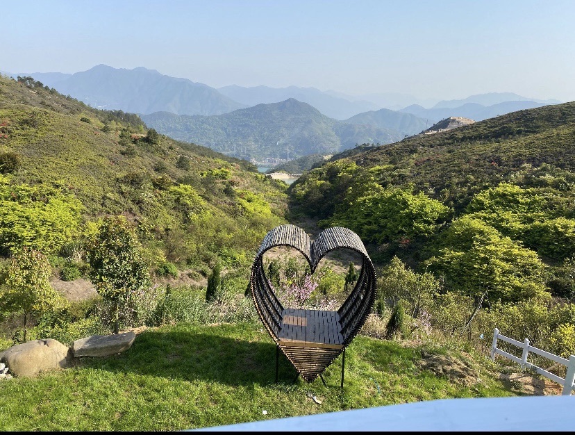 青田绿湾庄园旅行图片 1