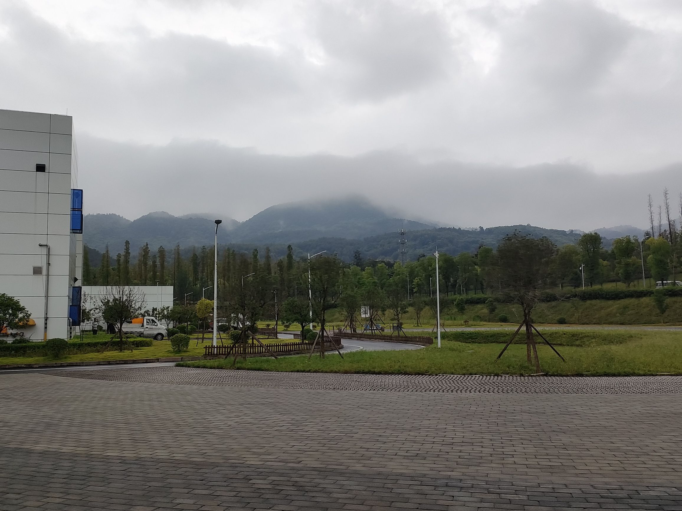 梨子坪森林公园旅行图片 1