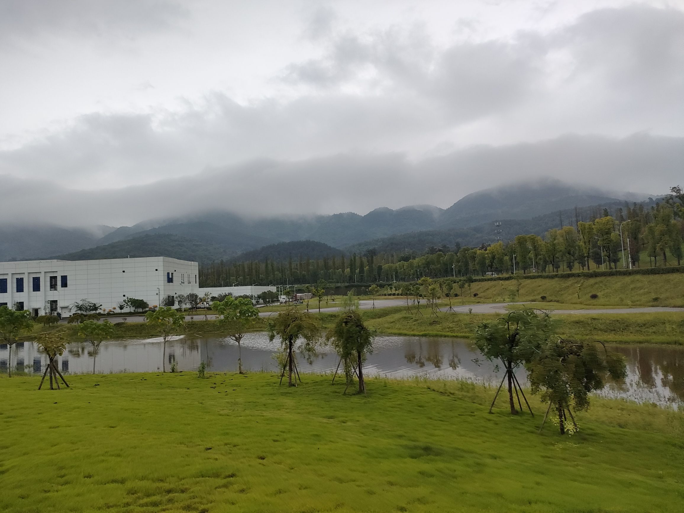 梨子坪森林公园旅行图片 2