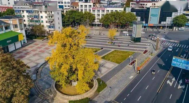 三角井旅行图片 1
