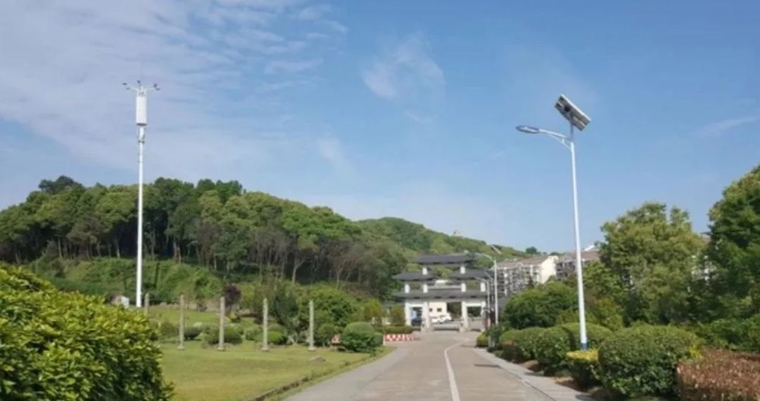 九龙山公园旅行图片 3