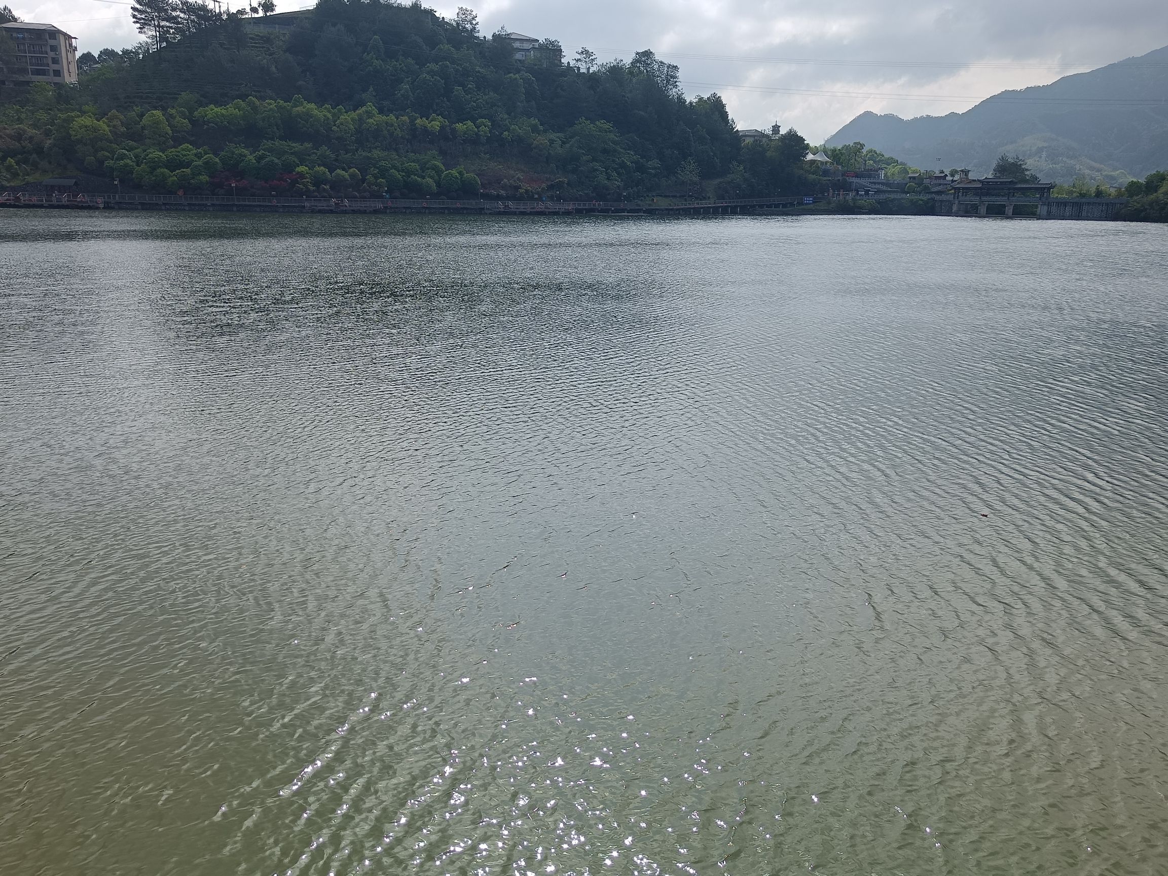 文秀湖公园旅行图片 1