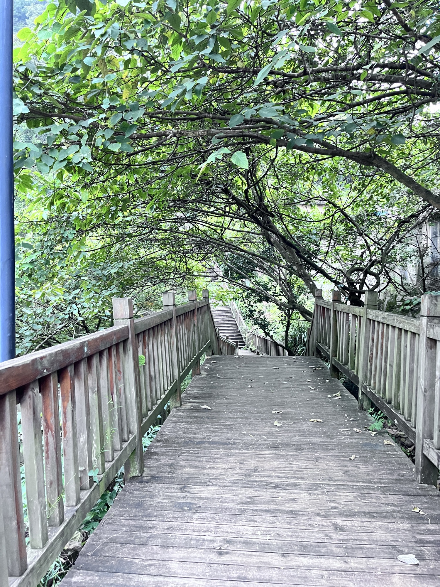 安平山公园旅行图片 1