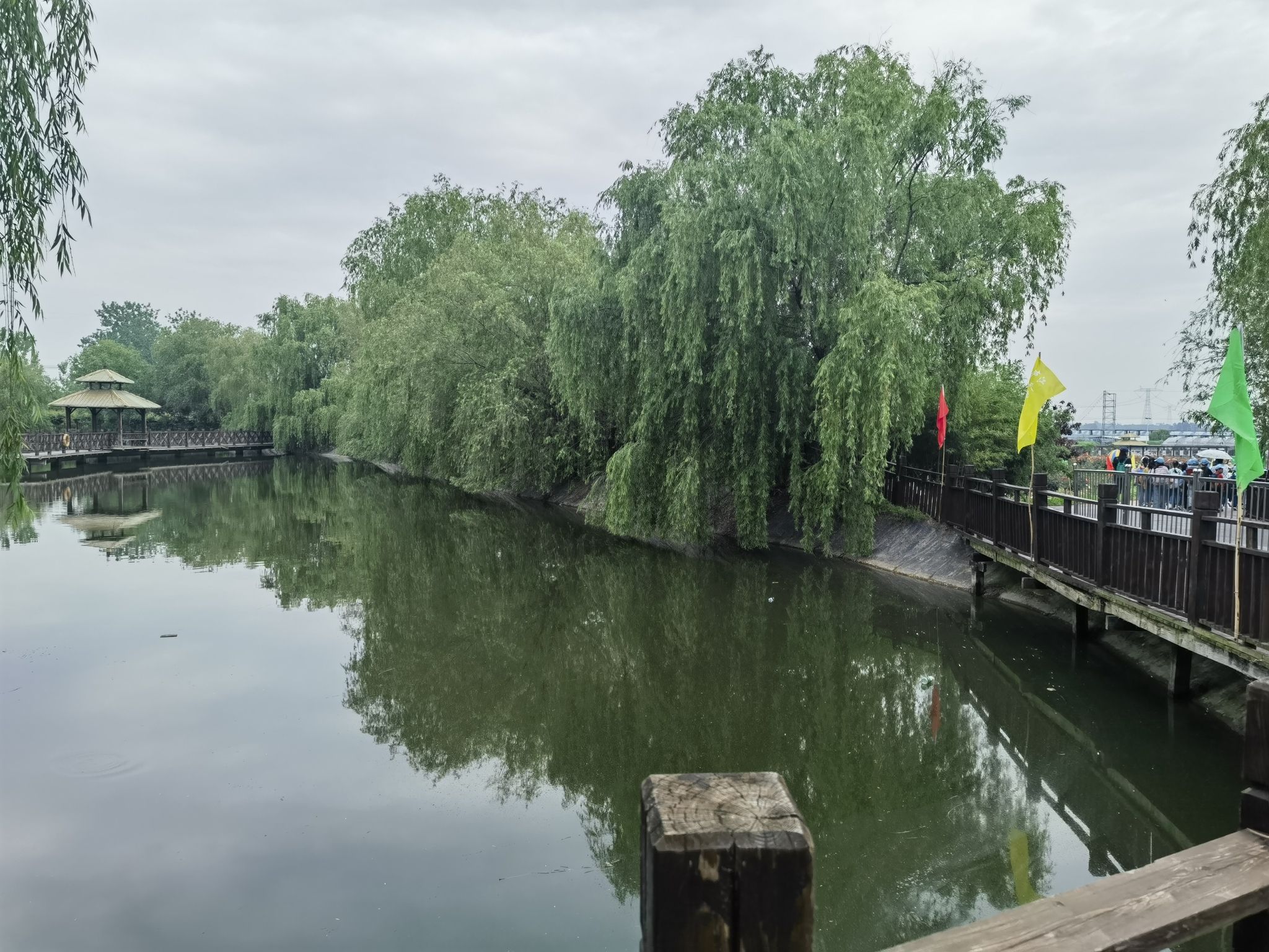 天鸣花海景区旅行图片 2