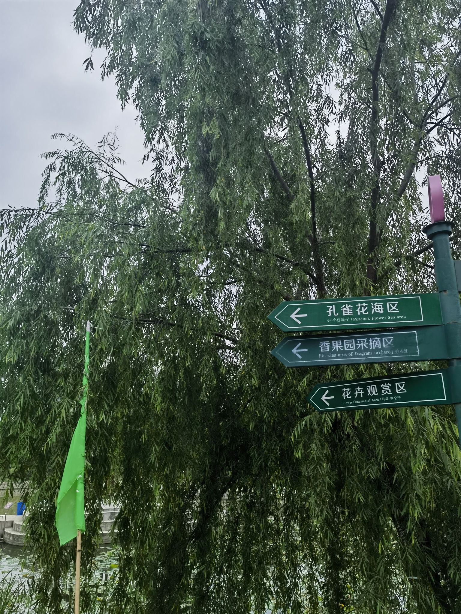 天鸣花海景区旅行图片 3