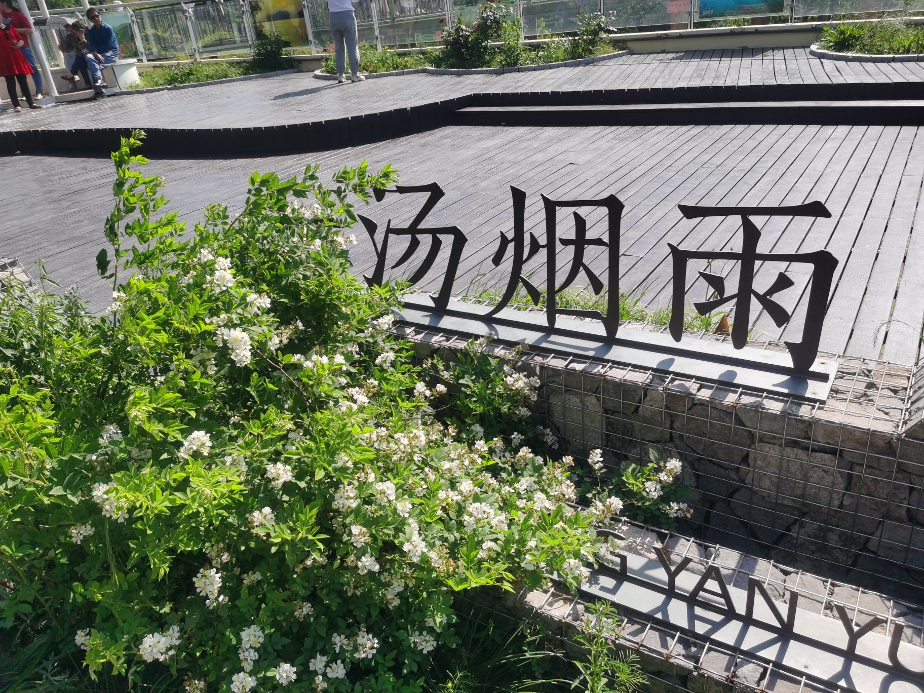 天鸣花海景区旅行图片 1