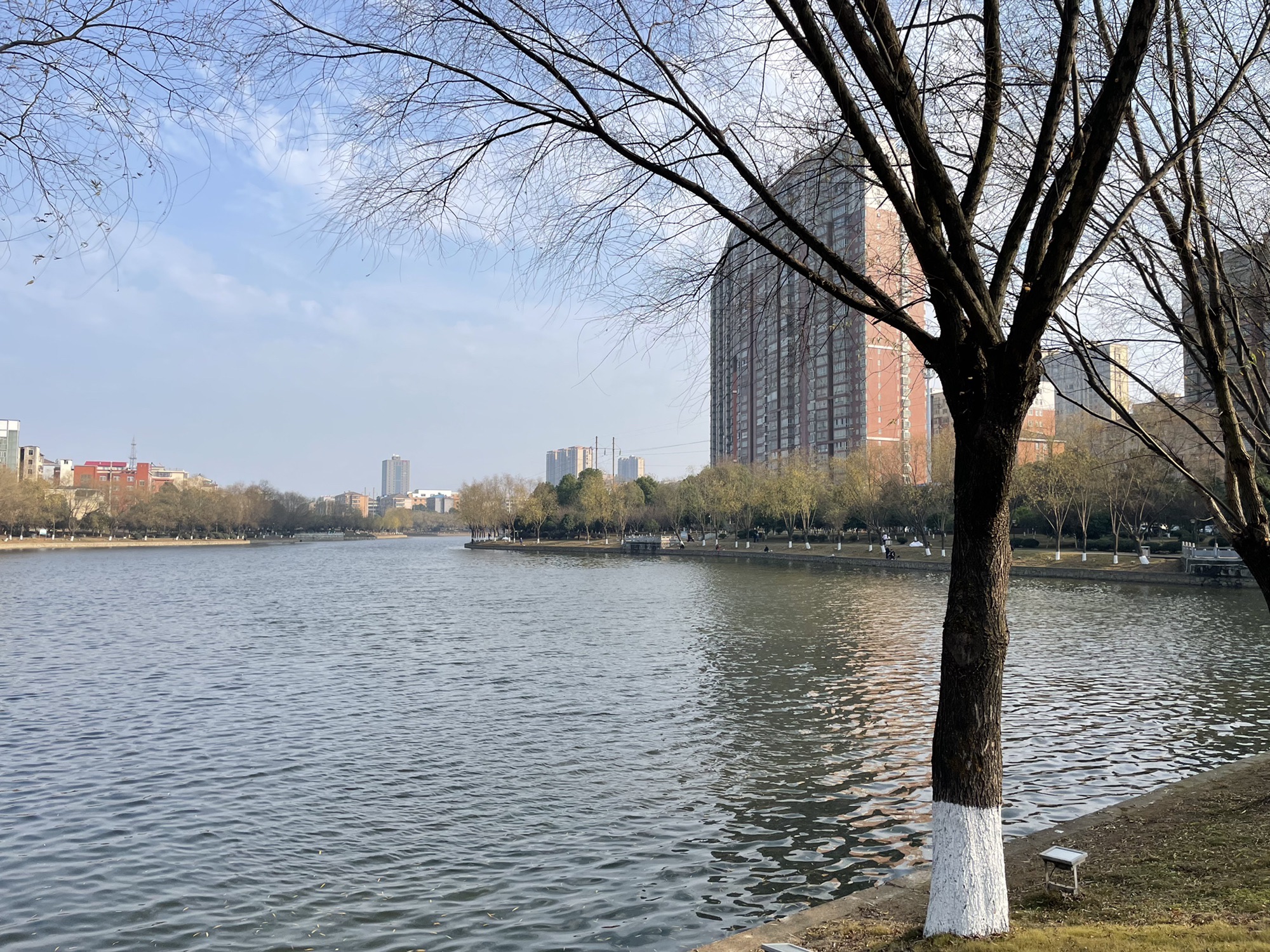 小叶湖滨水休闲公园旅行图片 3
