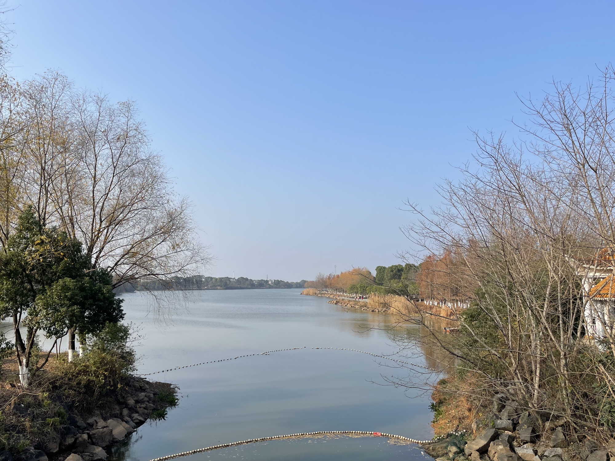 小叶湖滨水休闲公园旅行图片 2