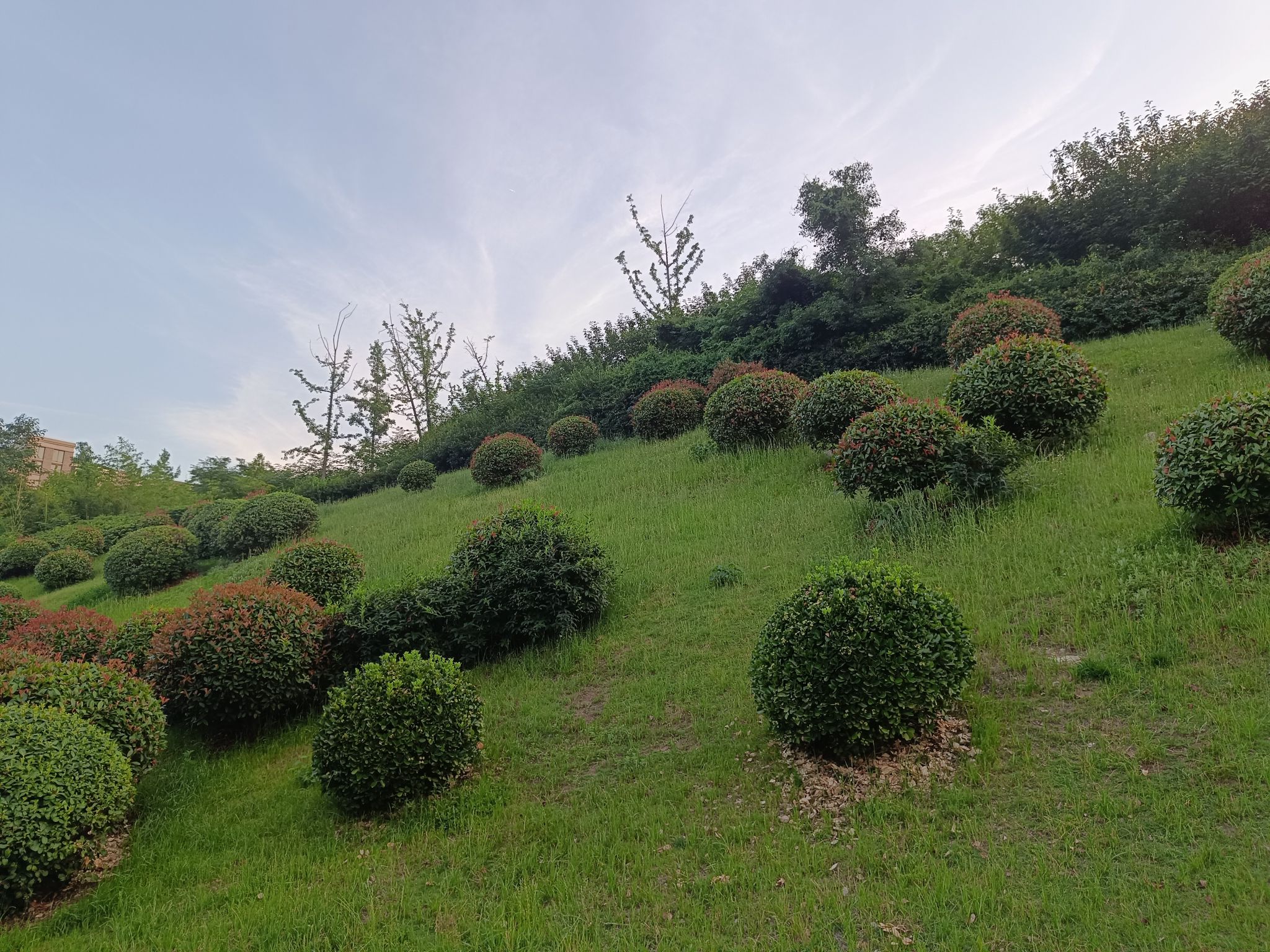 石景山公园旅行图片 2