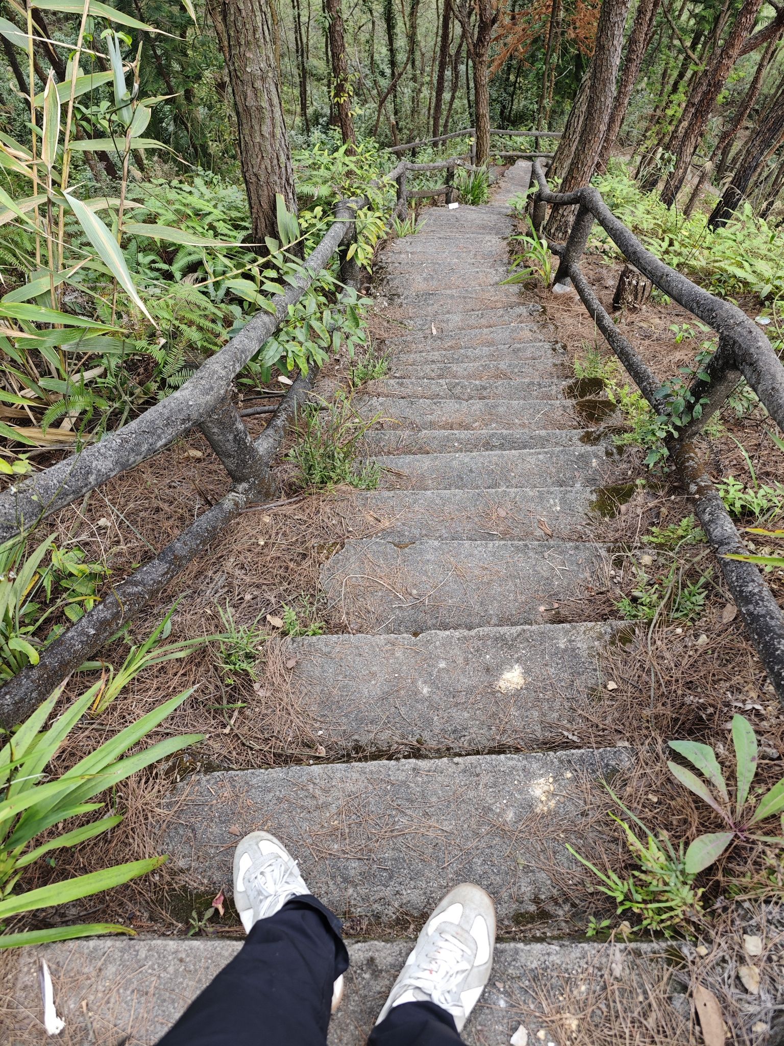 容县灵山云山公园旅行图片 2
