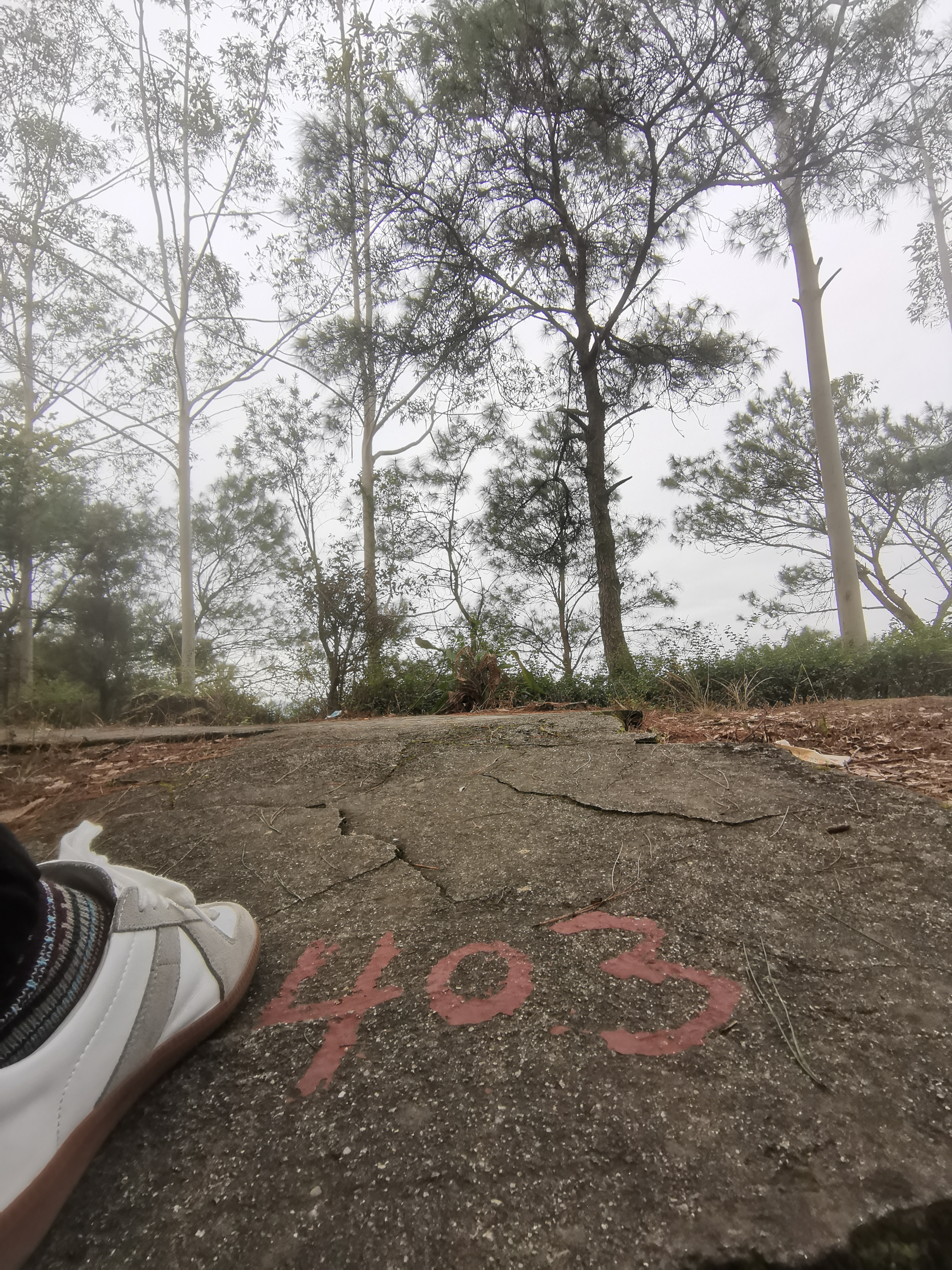 容县灵山云山公园旅行图片 2
