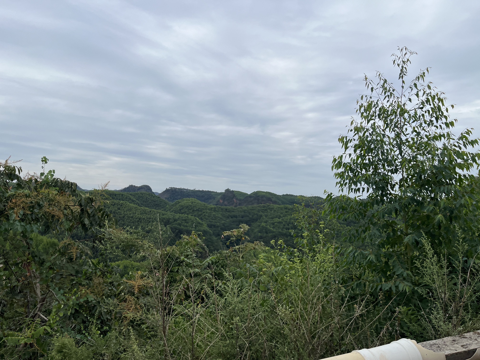 仁和寨景区旅行图片 3