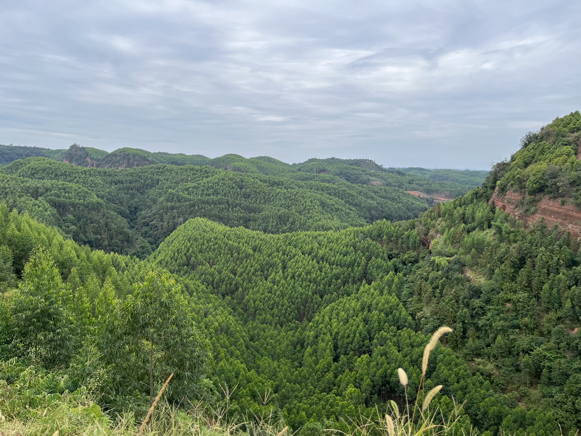 仁和寨景区旅行图片 2