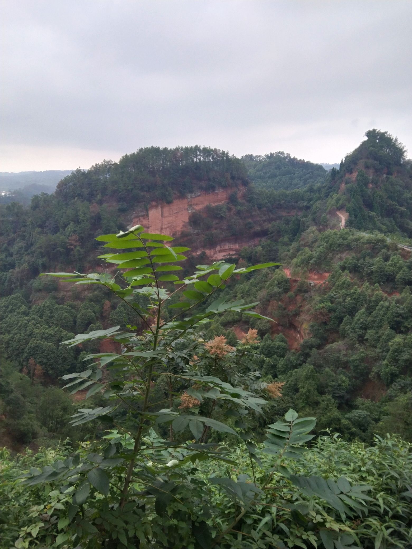 仁和寨景区旅行图片 1