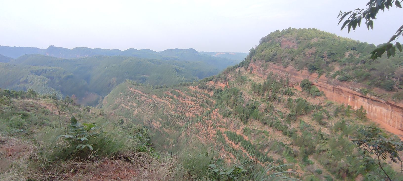 仁和寨景区旅行图片 2