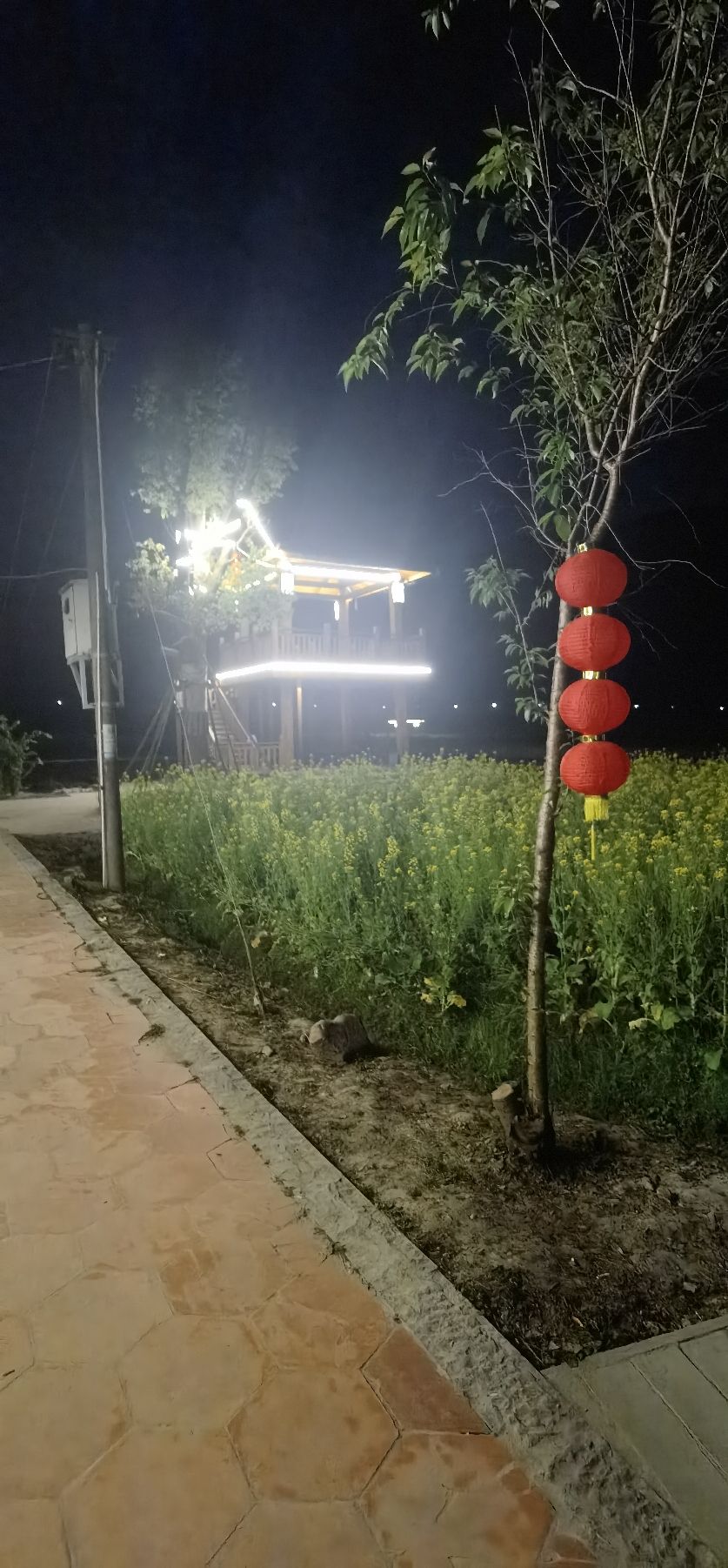 百花园旅行图片 3