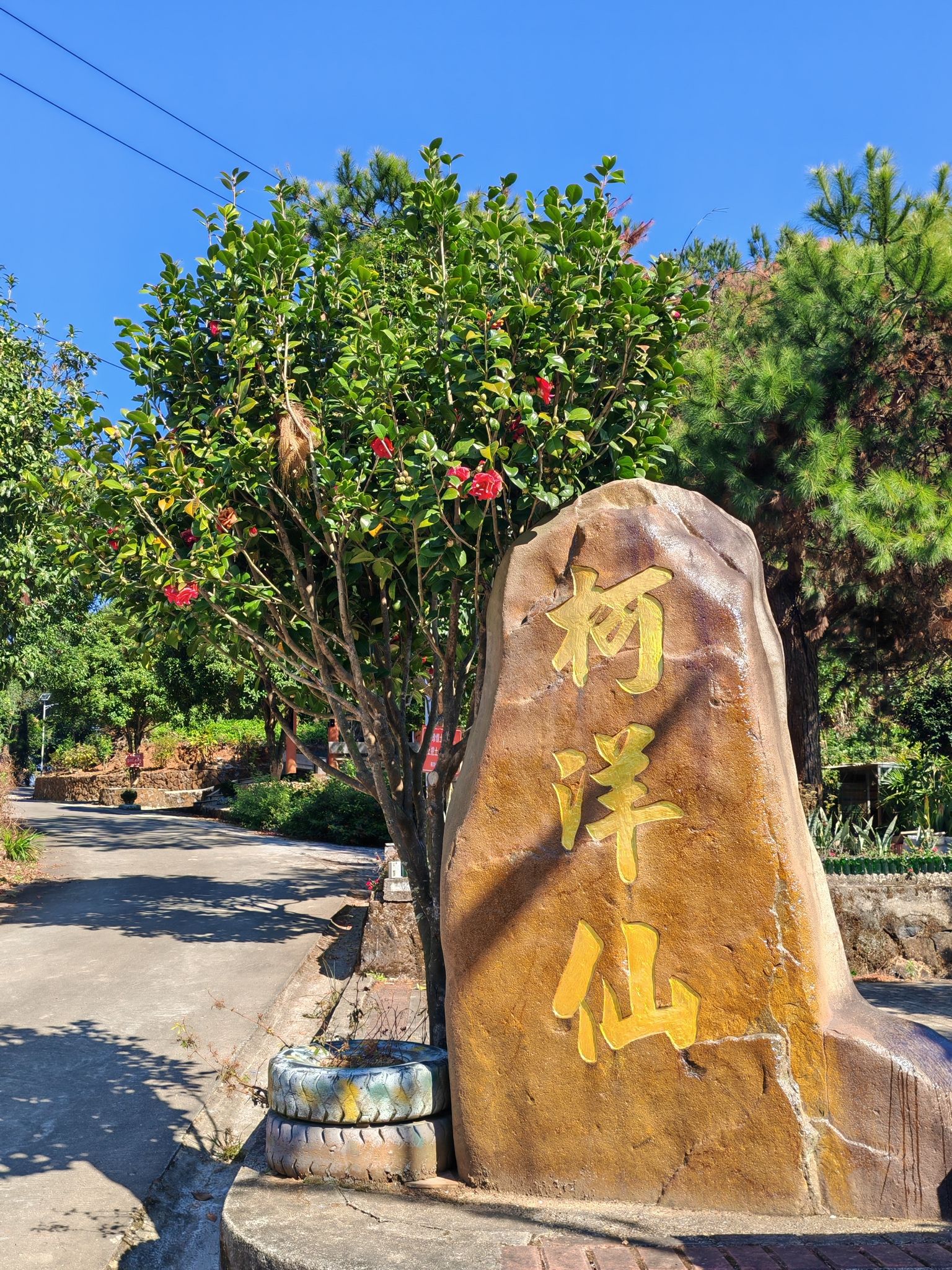 柯洋仙阁实景照片