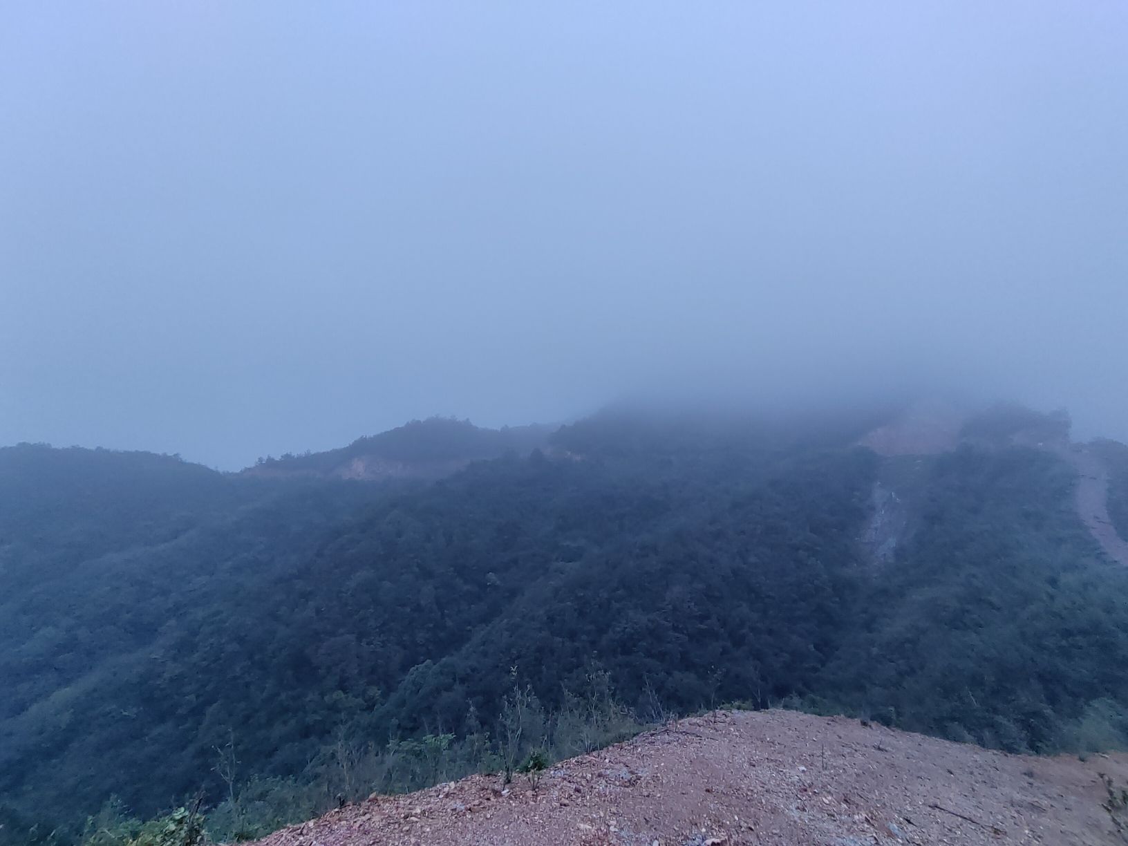 望百峰森林公园旅行图片 3