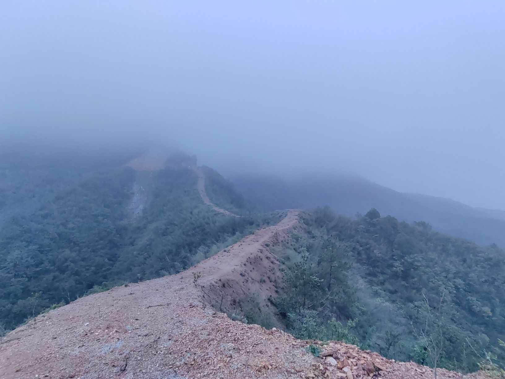 望百峰森林公园旅行图片 1