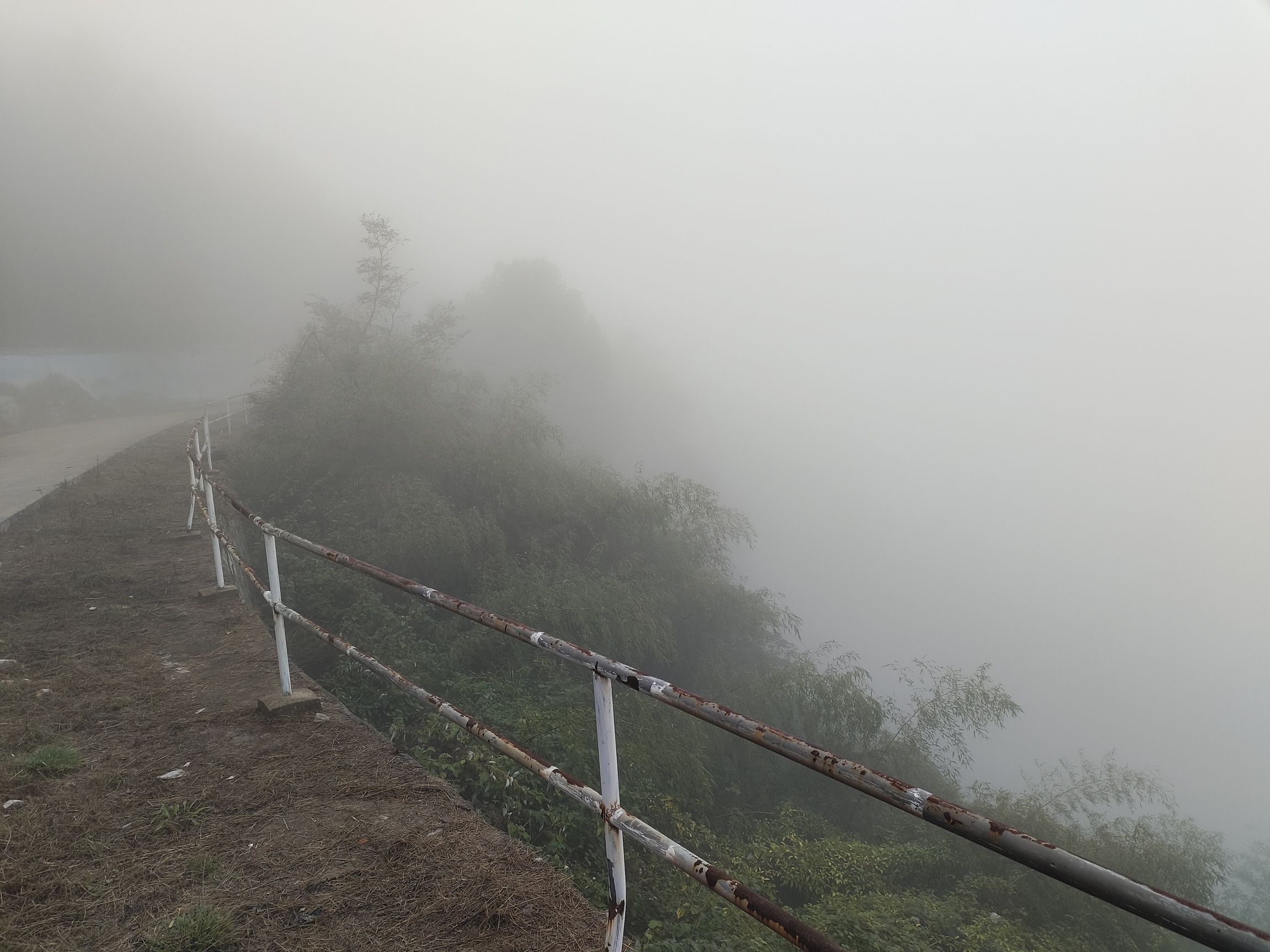 望百峰森林公园旅行图片 2