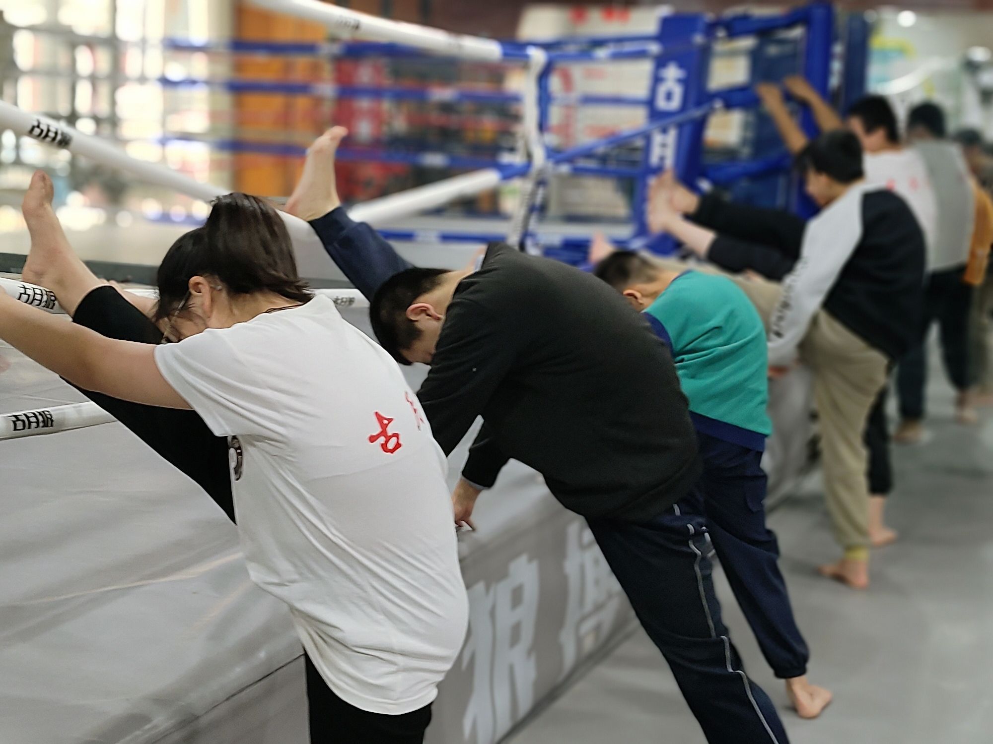 场地封面-古月狼搏击会馆(总校区)