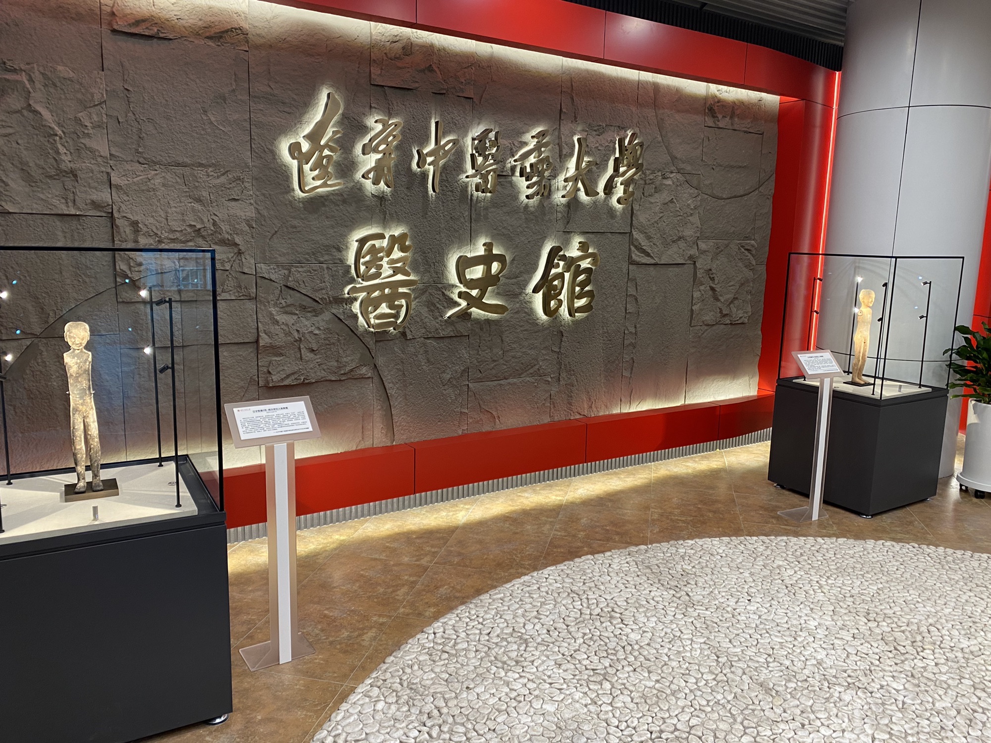 辽宁中医药大学博物馆