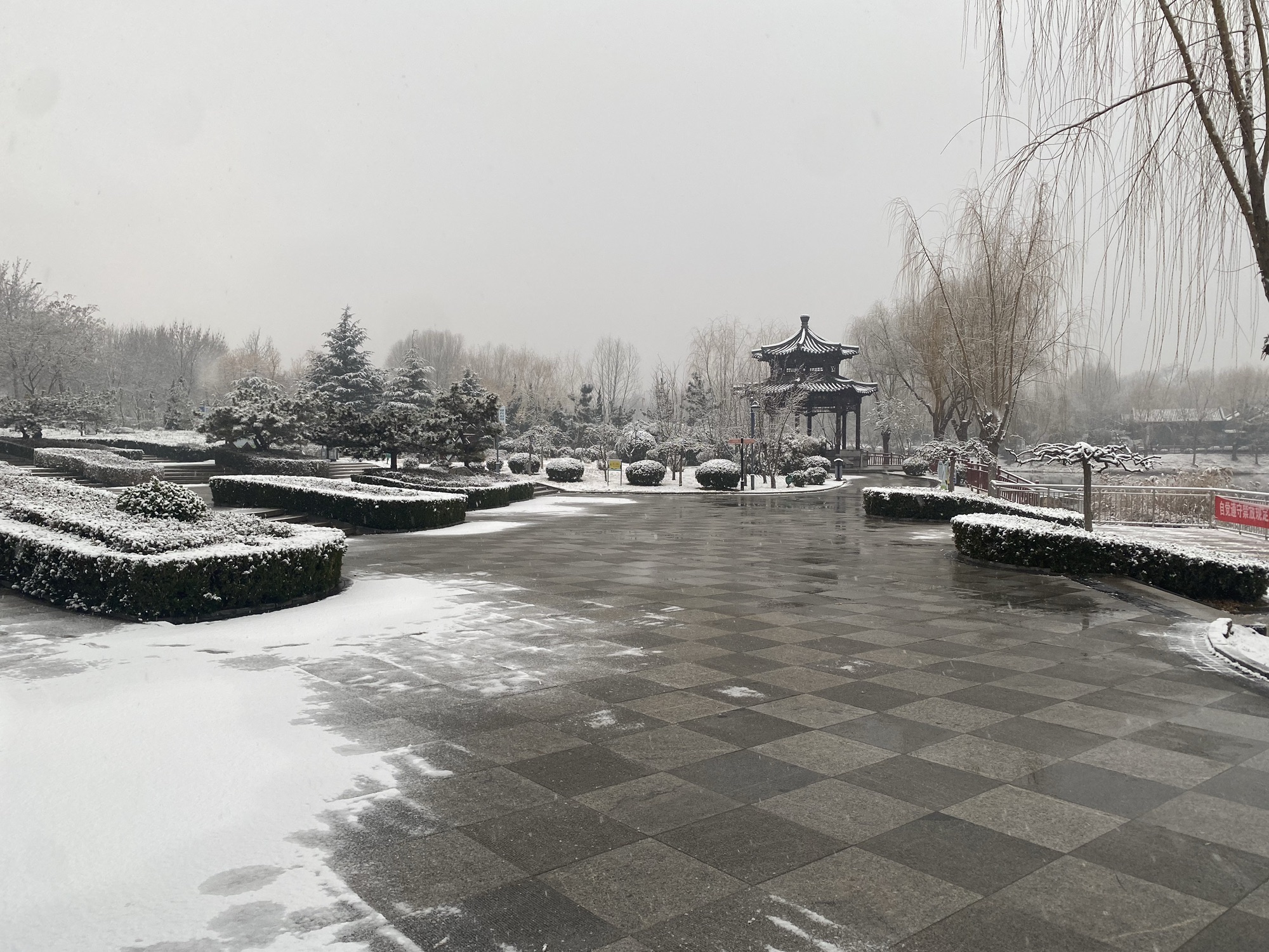 龙运湖公园旅行图片 2