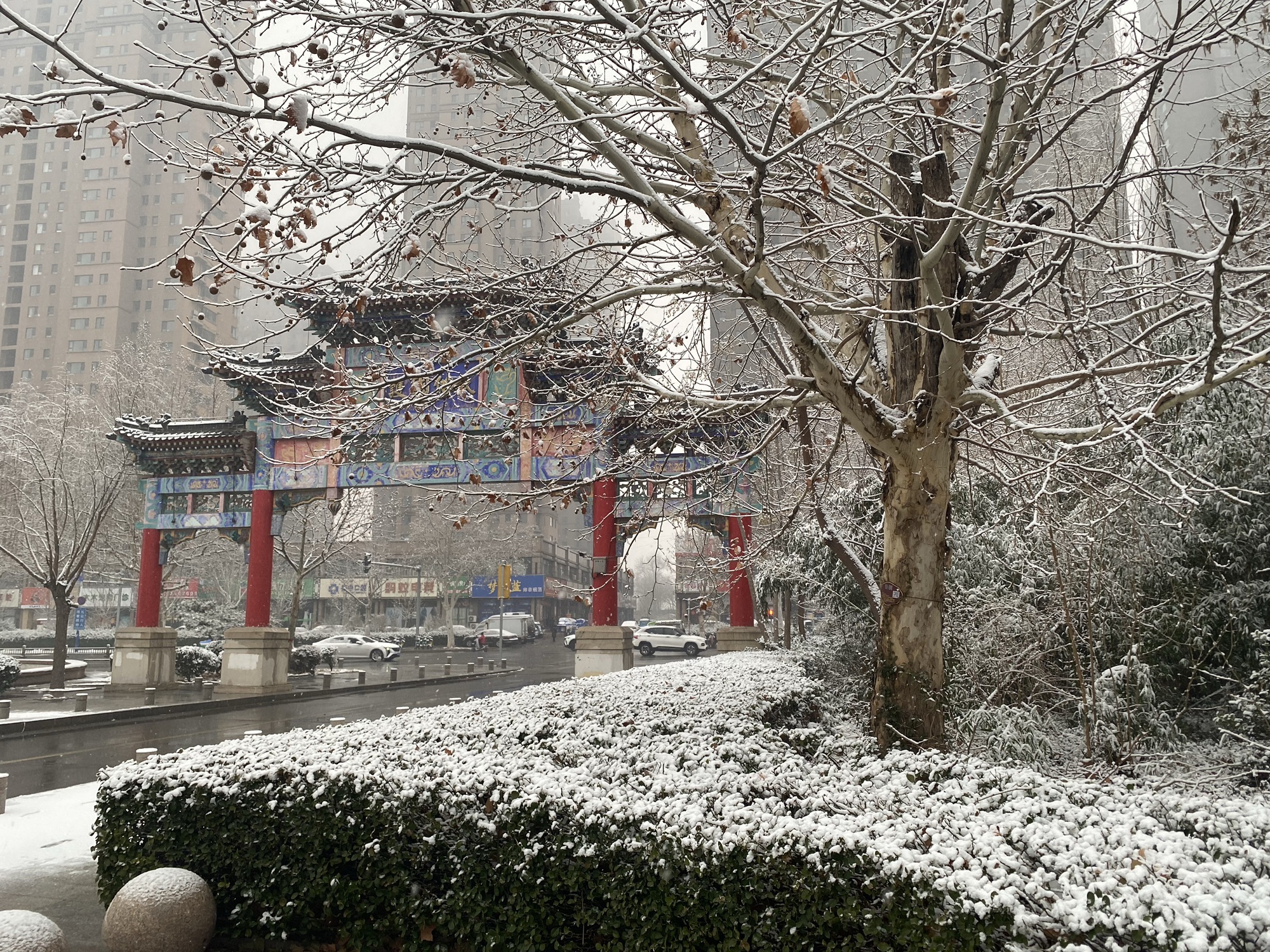 龙运湖公园旅行图片 3