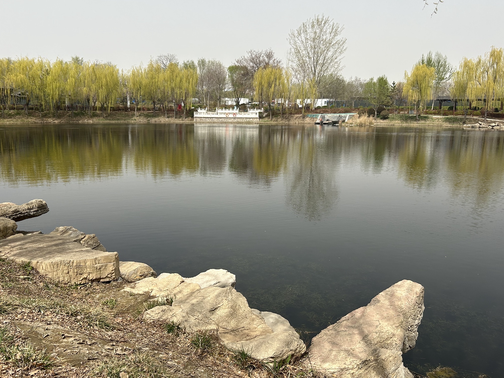 龙运湖公园旅行图片 3