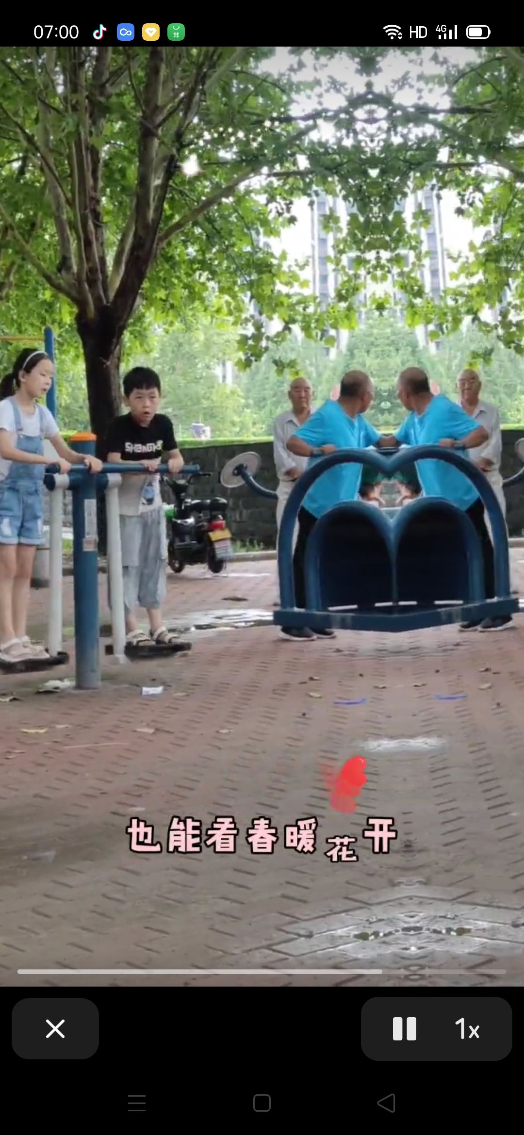 川汇区文化广场旅行图片 2