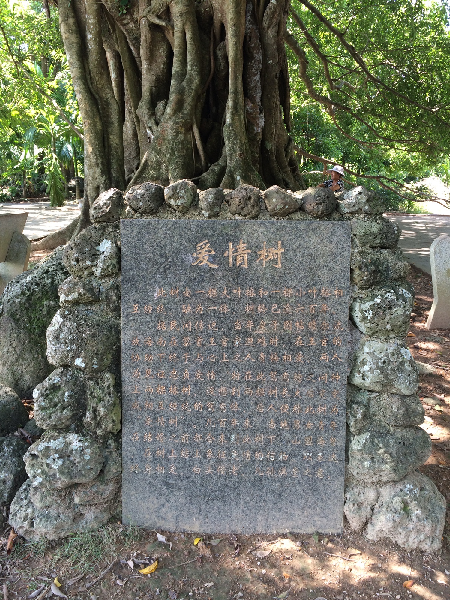 岭口皇坡王子爱情乡村公园