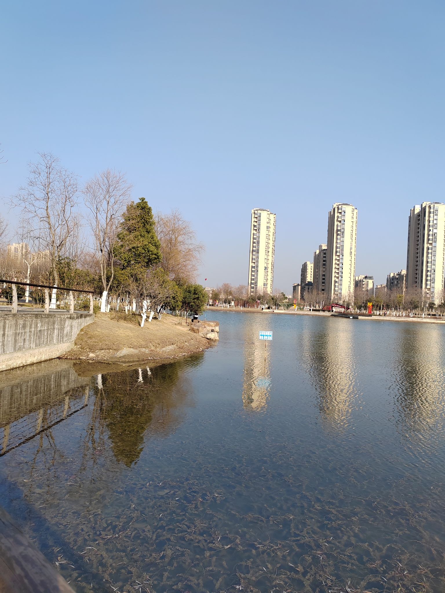 城南公园旅行图片 2