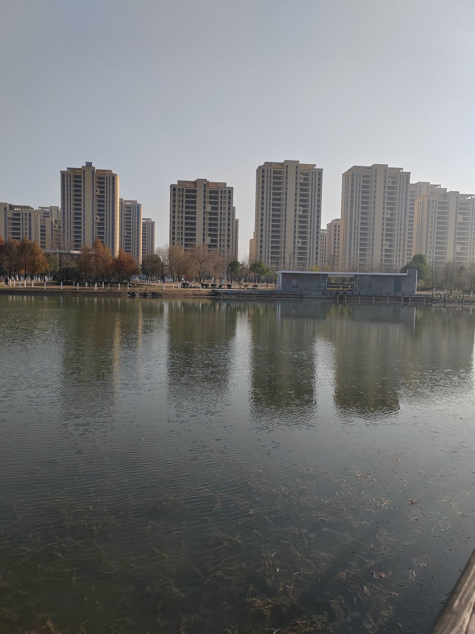 城南公园旅行图片 1