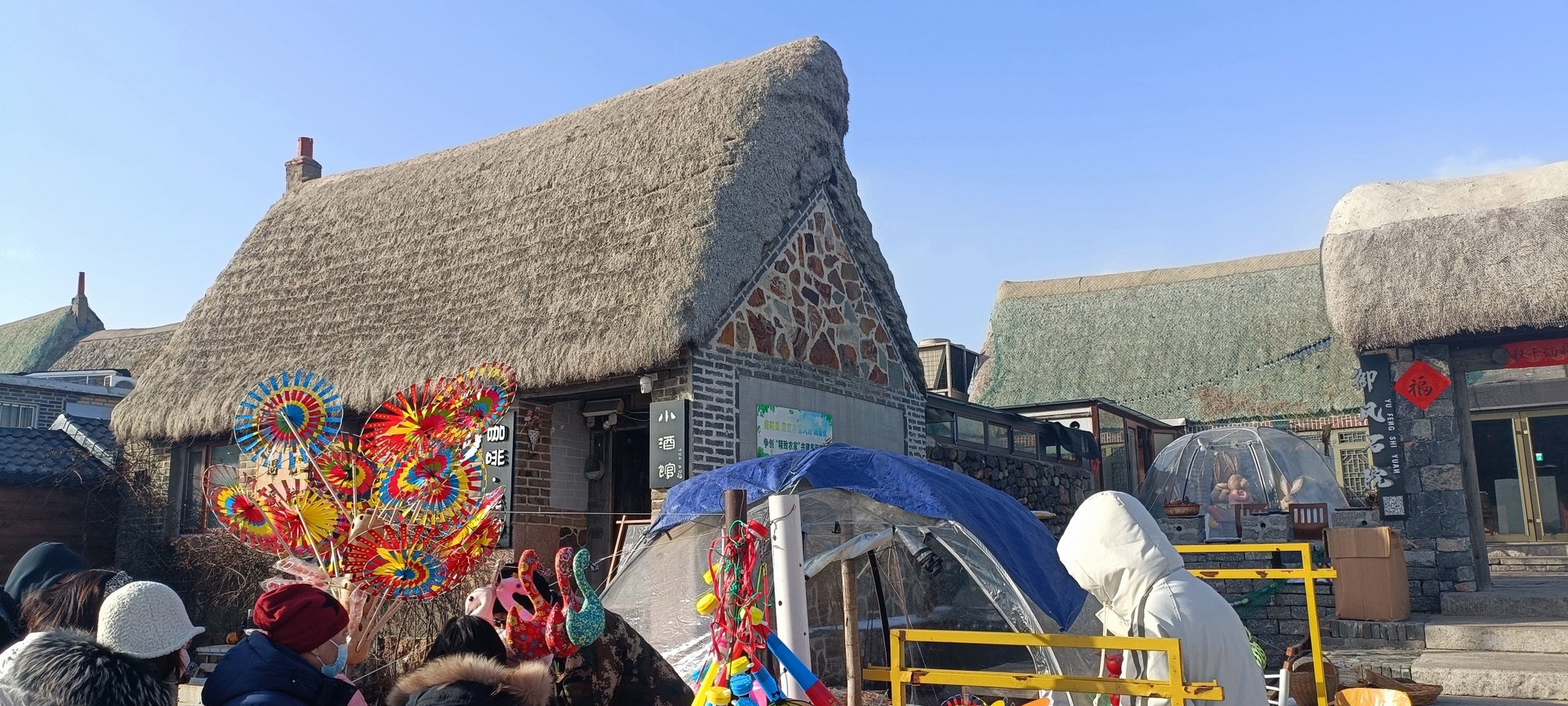 荣成大天鹅国家级自然保护区旅行图片 3