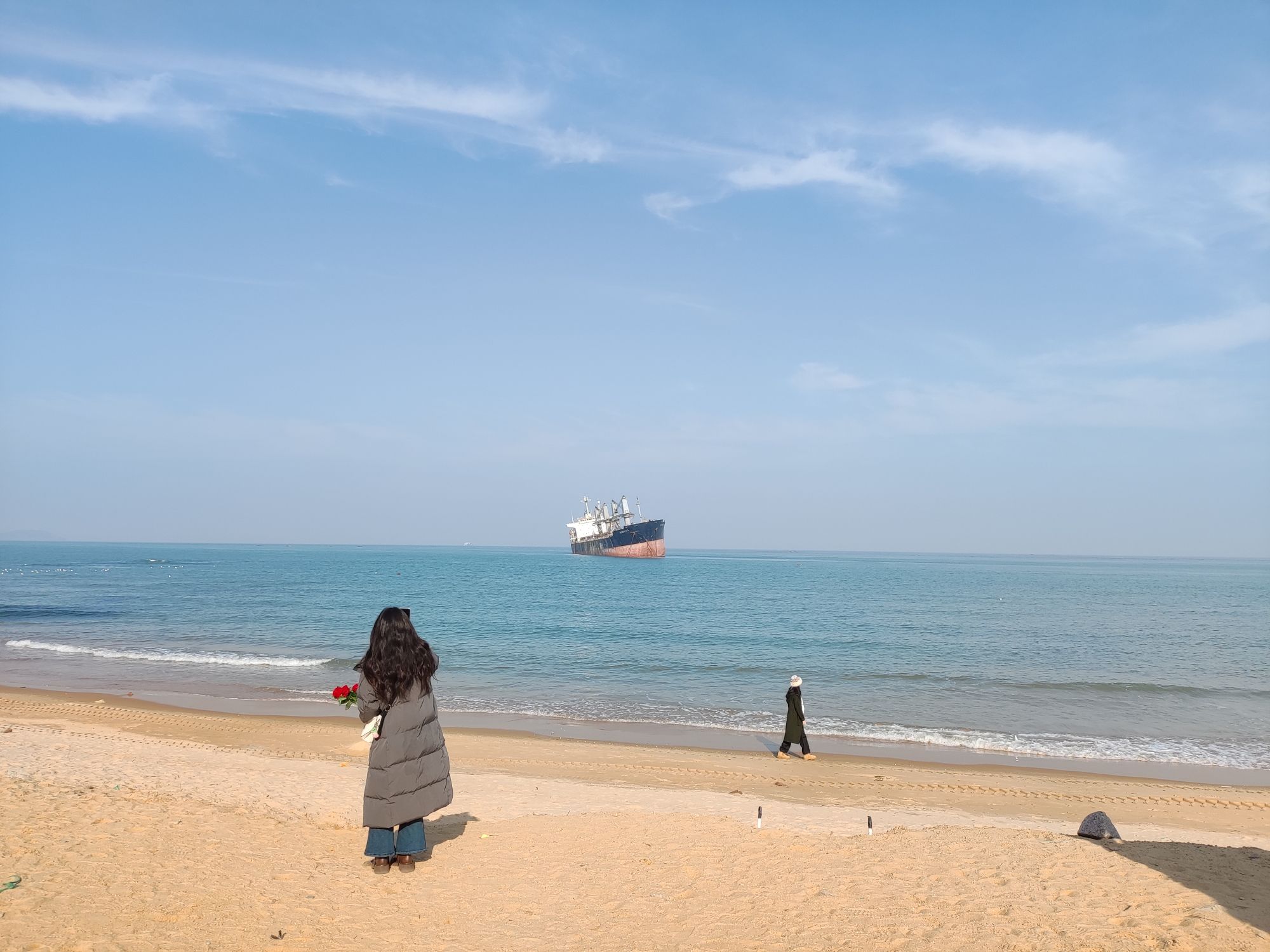 荣成大天鹅国家级自然保护区旅行图片 2