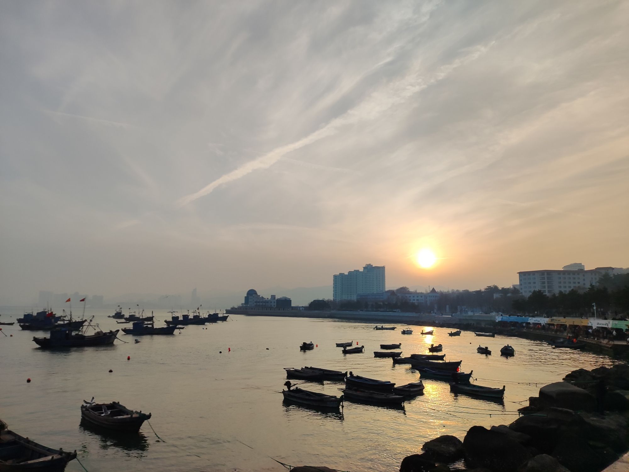 荣成大天鹅国家级自然保护区旅行图片 1
