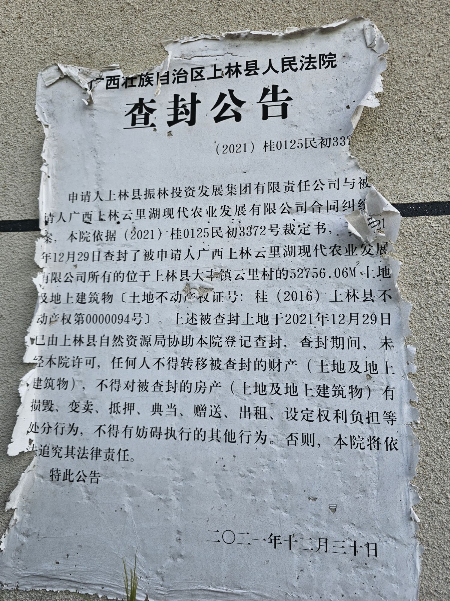 云里湖景区旅行图片 2