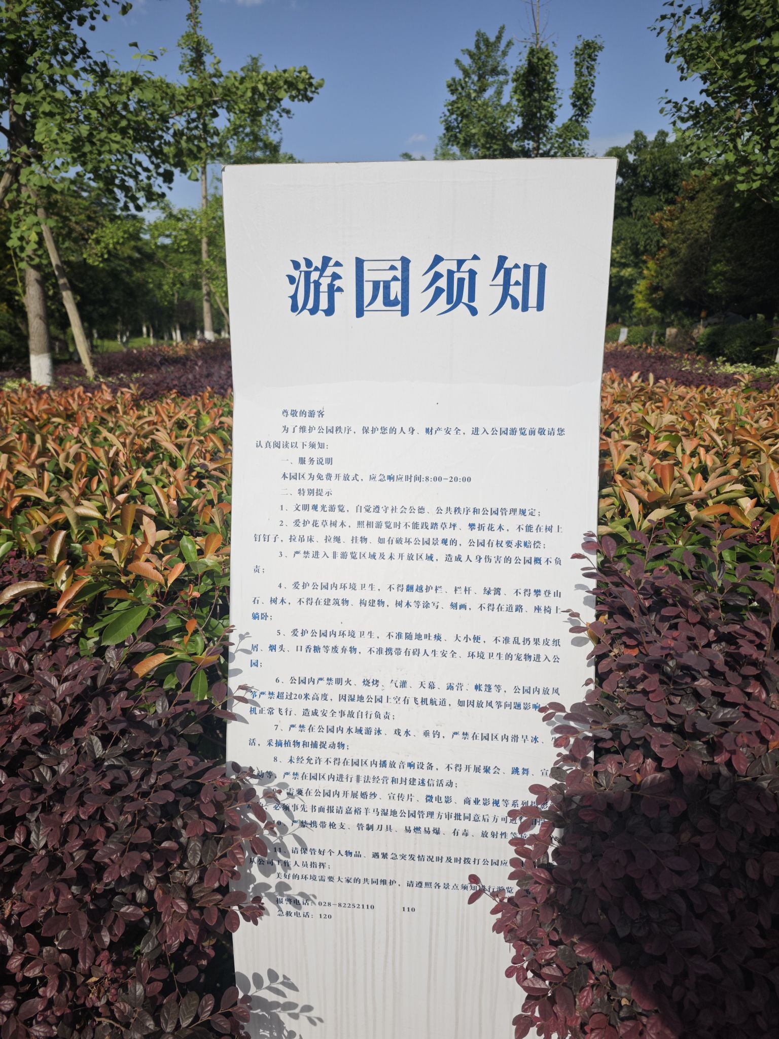 原野·六洲旅行图片 3