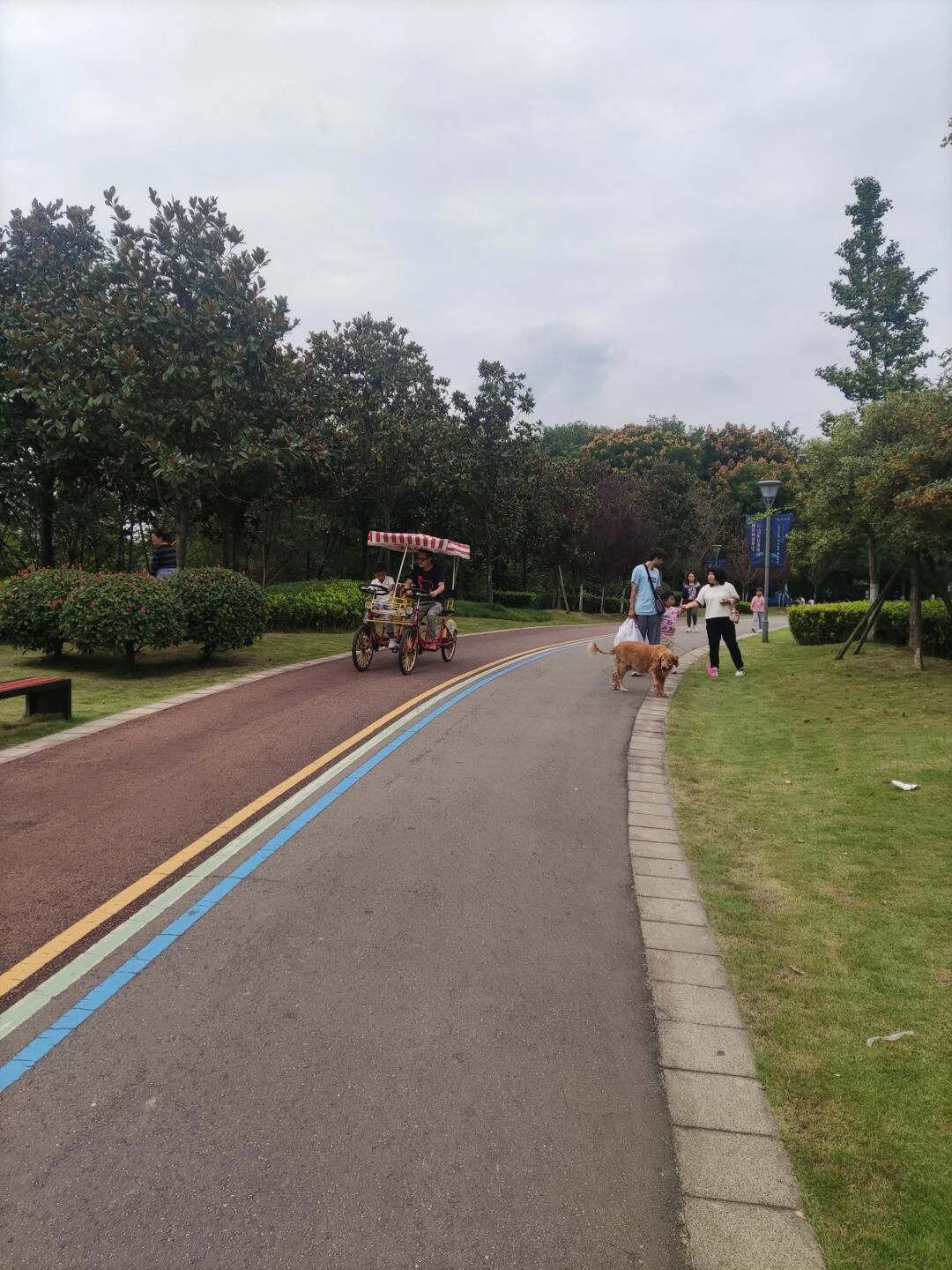 原野·六洲旅行图片 2
