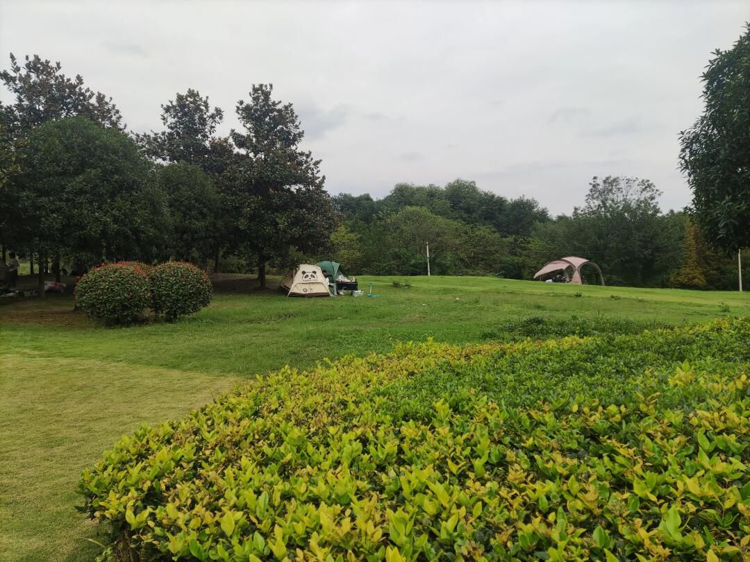 原野·六洲旅行图片 3