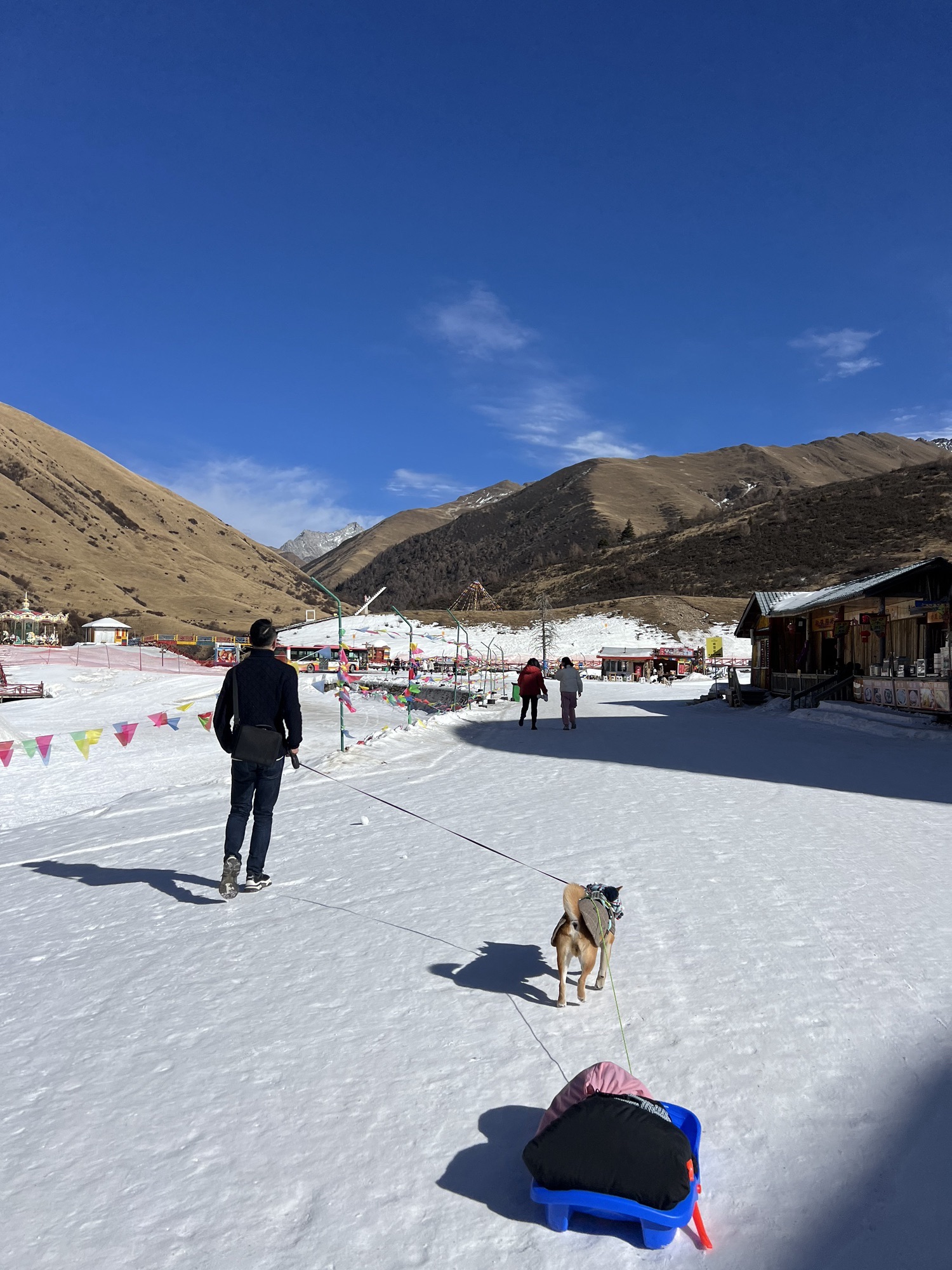 鹧鸪山自然公园(暂停开放)旅行图片 3