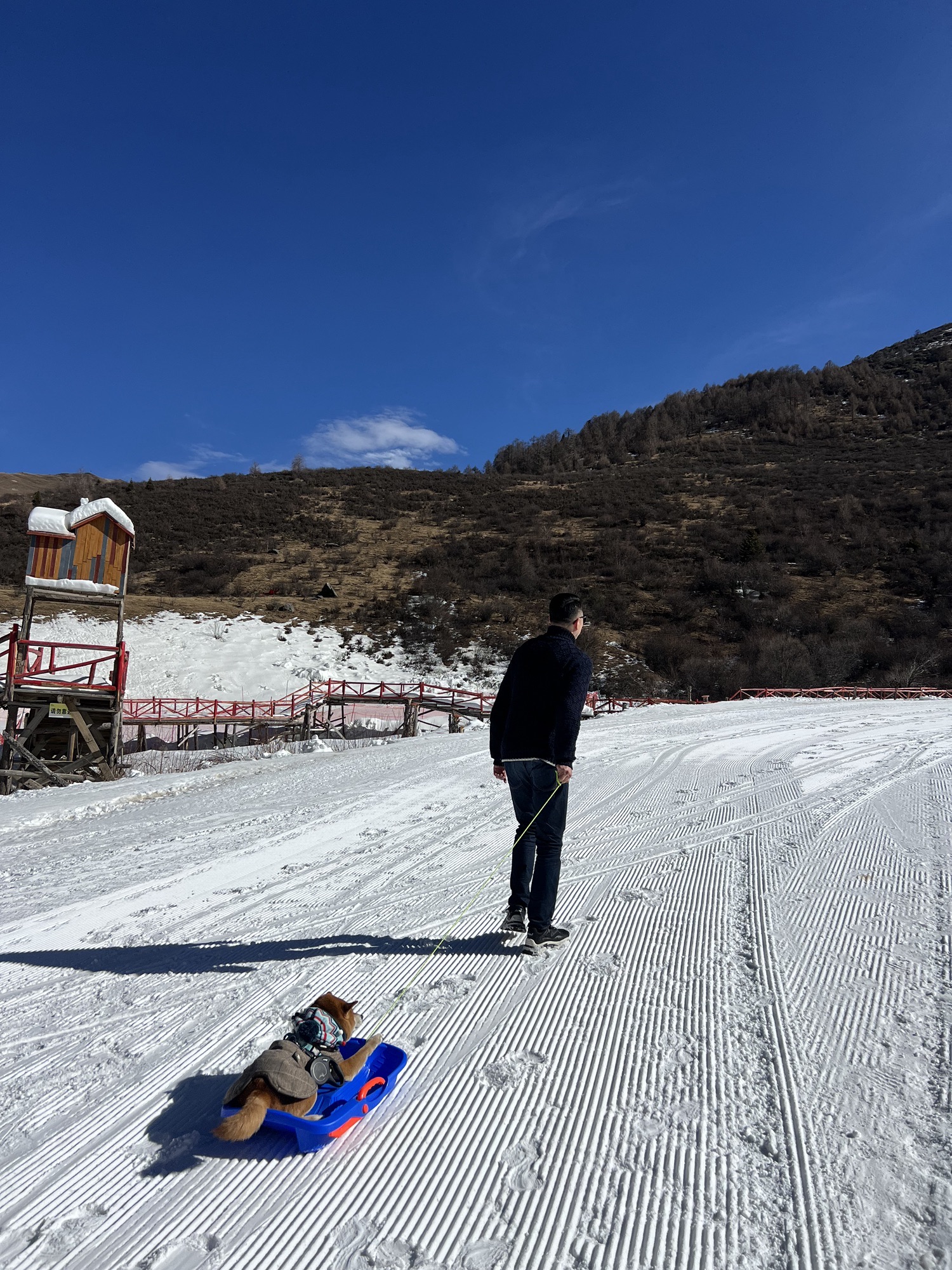鹧鸪山自然公园(暂停开放)旅行图片 2