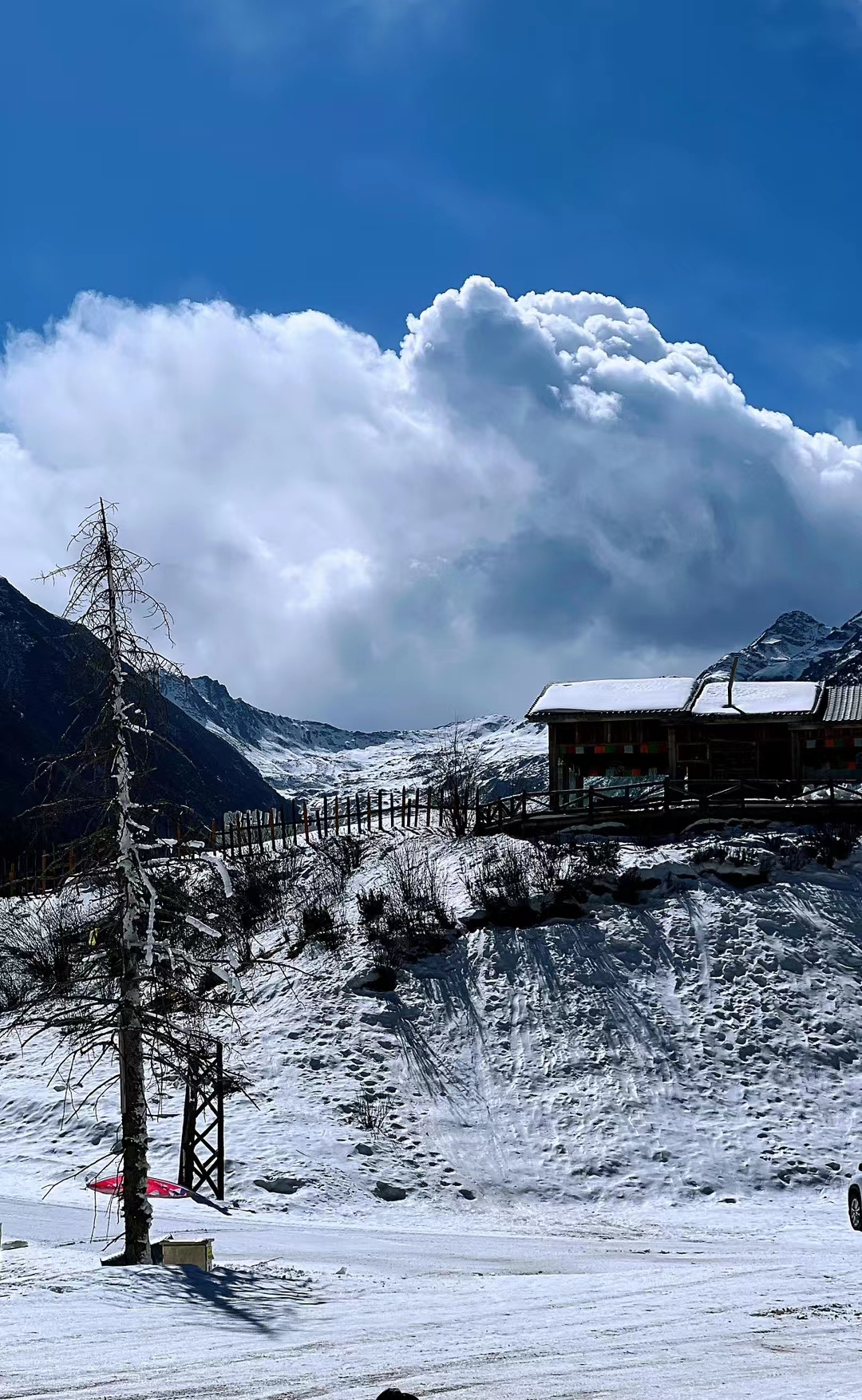 鹧鸪山自然公园(暂停开放)旅行图片 3