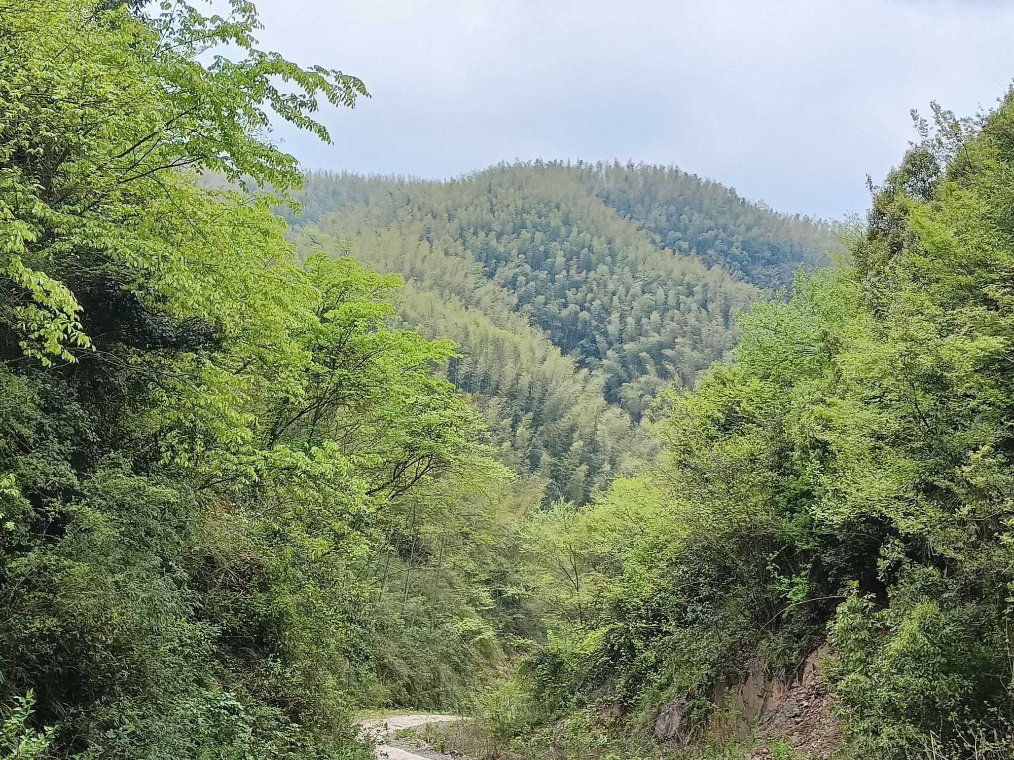 衡阳市罗州山风景名胜旅游区