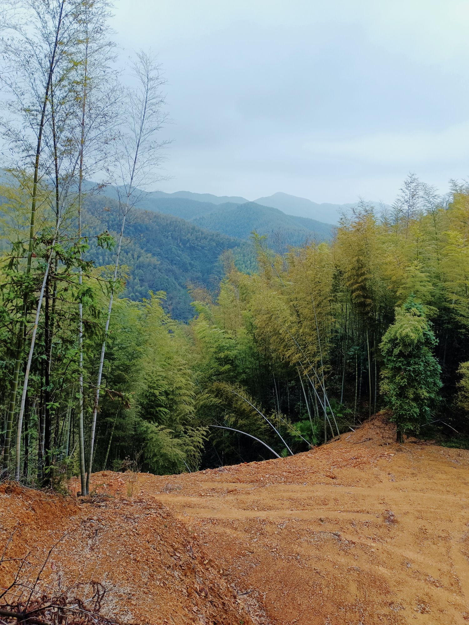 衡阳市罗州山风景名胜旅游区