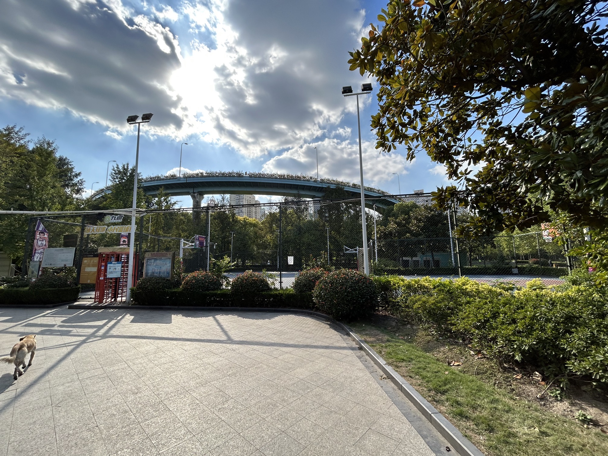 场地封面-延天绿地-篮球场